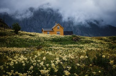 Kviečiame į nemokamus mokymus "Išmaniųjų įrenginių naudojimas"